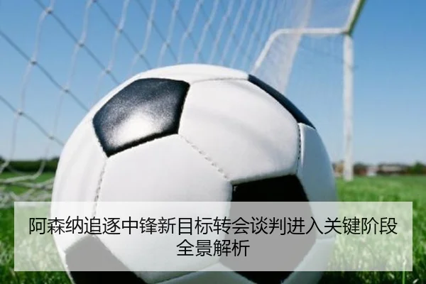 阿森纳追逐中锋新目标转会谈判进入关键阶段全景解析